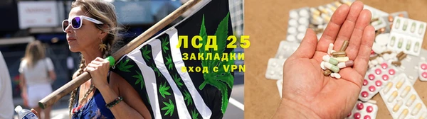 дживик Надым