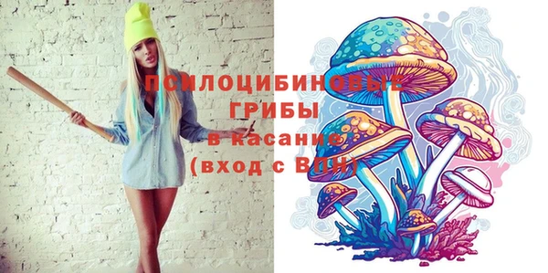 дживик Надым