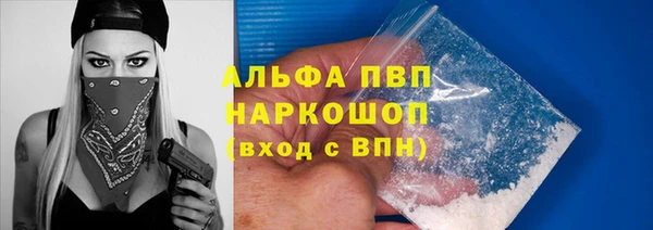 дживик Надым