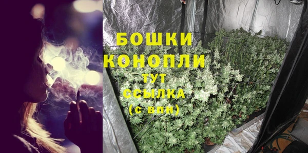 дживик Надым