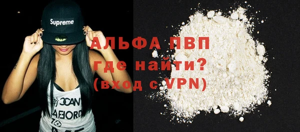дживик Надым