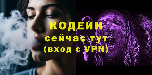 дживик Надым