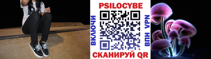 купить наркотик  Пенза  hydra зеркало  Галлюциногенные грибы Psilocybine cubensis 